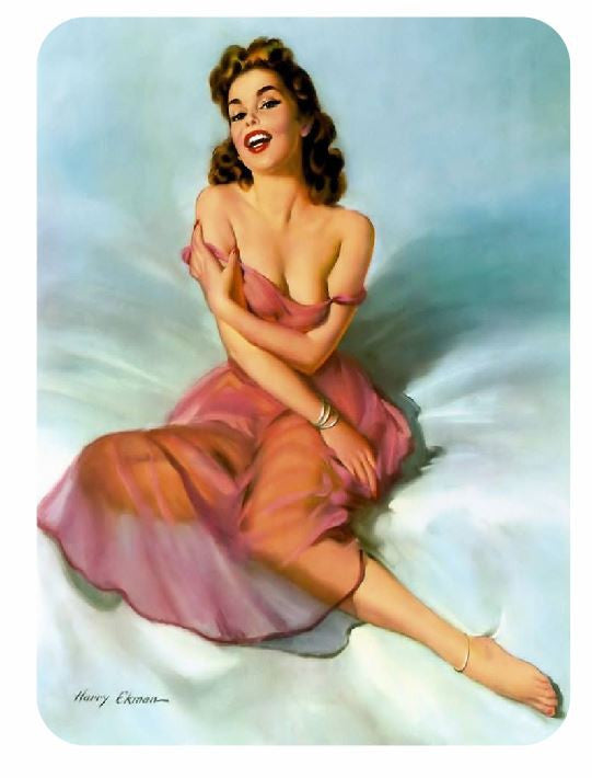 Vintage Style Pin Up Girl Sticker P36 Pinup Girl Sticker - Winter Park Products