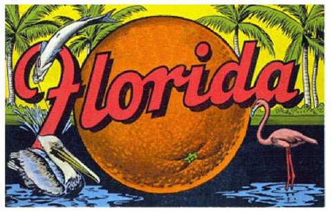 Florida Sticker Decal R965 Vintage Style - Winter Park Products