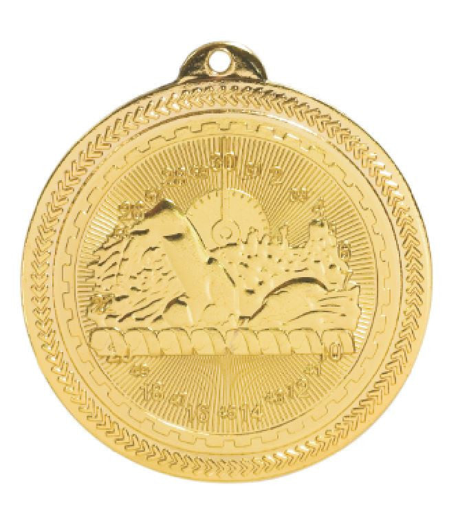 Swimming Medals Team Sport Award Trophy W/FREE Lanyard FREE SHIPPING BL216 - Winter Park Products