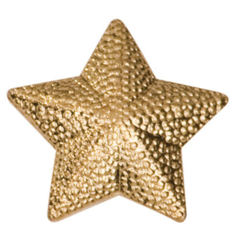 Gold Finish Metal Star Pin TIE TACK School Varsity Insignia Chenille - Winter Park Products
