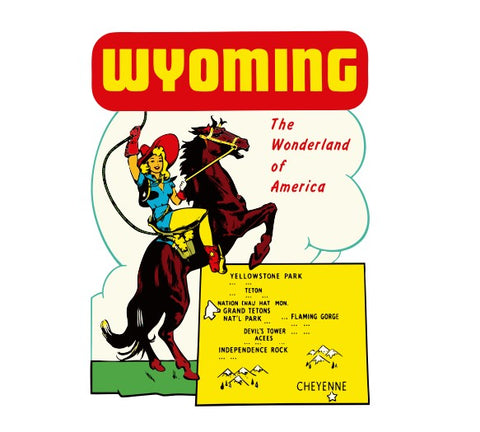 Wyoming Vintage Style Sticker Decal R8810
