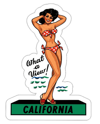 California Vintage Style Sticker Decal R8650