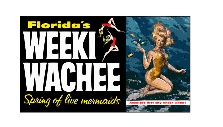 Florida's Weeki Wachee Vintage Style Sticker Decal R8869