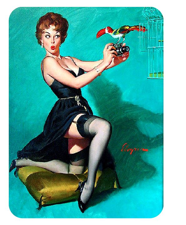 Pinup Girl Sticker Decal pin up pin-up P169