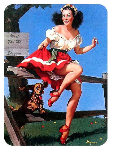 Pinup Girl Sticker Decal pin up pin-up P220