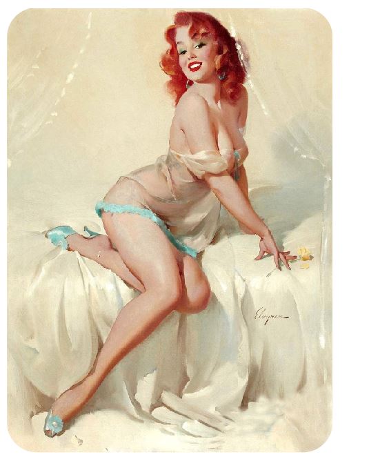 Pinup Girl Sticker Decal pin up pin-up P271