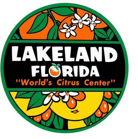 Florida Lakeland Vintage Style Sticker Decal R8503