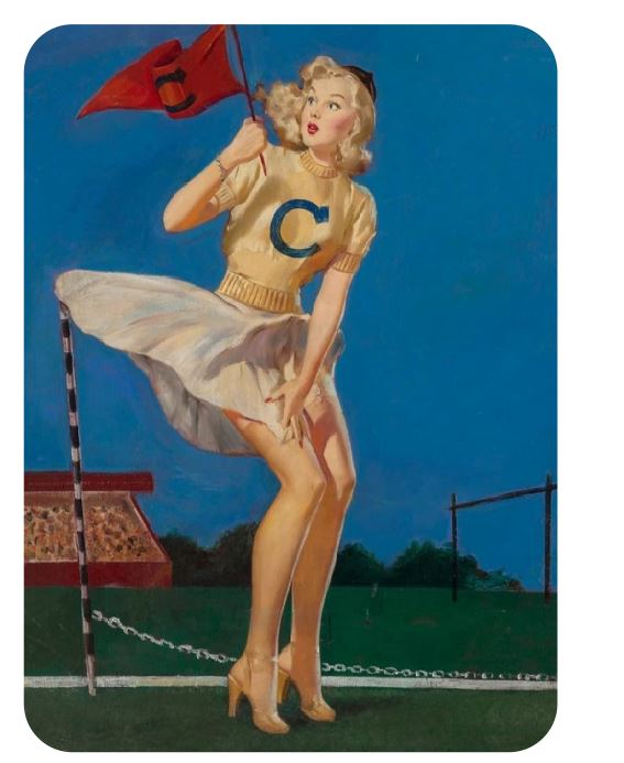 Pinup Girl Sticker Decal pin up pin-up P236