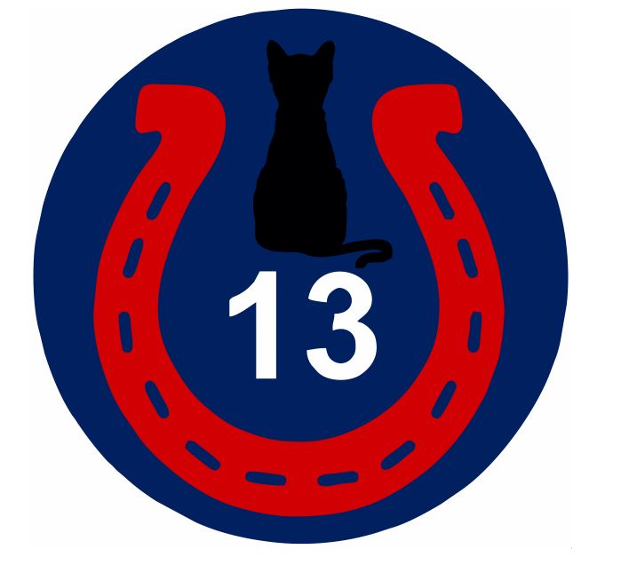 13th Division Military Sticker Decal M954