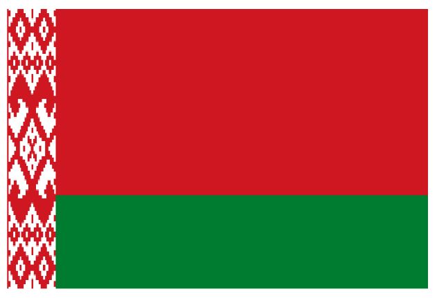 BELARUS Vinyl International Flag DECAL Sticker MADE IN THE USA F725