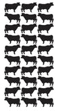 Cow Sticker Stickers Vinyl 1-1/4" DC47-070 Black