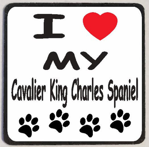 M147 I Love My Cavalier King Charles Spaniel Magnet