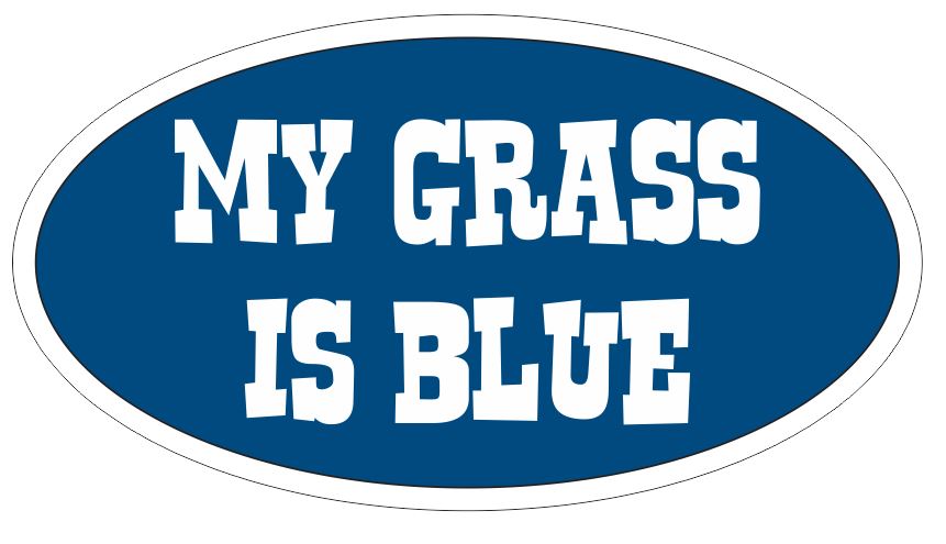 Bluegrass Sticker Oval Bumper Sticker or Helmet Sticker D3818 Country Music