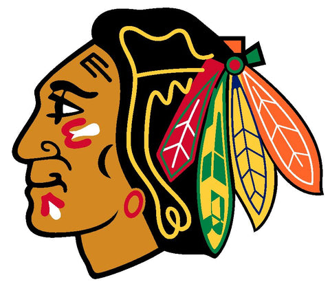 Chicago Blackhawks Sticker Decal S144 Hockey
