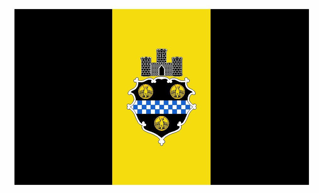 Pittsburgh Pennsylvania Flag Sticker / Decal F669 - Winter Park Products