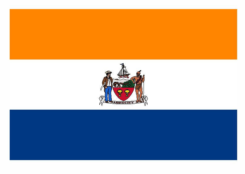 Albany New York Flag Sticker / Decal F658 - Winter Park Products