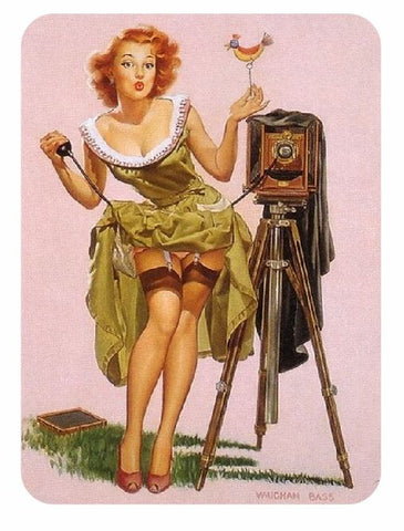 Vintage Style Pin Up Girl Sticker P71 Pinup Girl Sticker - Winter Park Products
