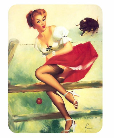 Vintage Style Pin Up Girl Sticker P107 Pinup Girl Sticker - Winter Park Products