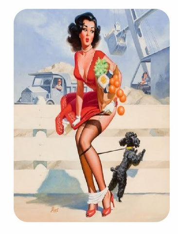 Vintage Style Pin Up Girl Sticker P108 Pinup Girl Sticker - Winter Park Products