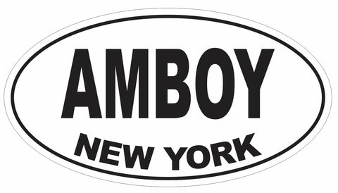 Amboy New York Oval Bumper Sticker or Helmet Sticker D3073 Euro Oval - Winter Park Products