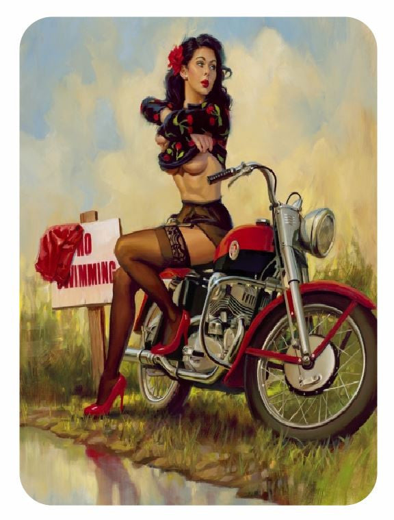 Vintage Style Pin Up Girl Sticker P43 Pinup Girl Sticker - Winter Park Products