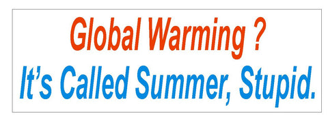 Global Warming Bumper Sticker or Helmet Sticker D761 Funny Political Sticker - Winter Park Products