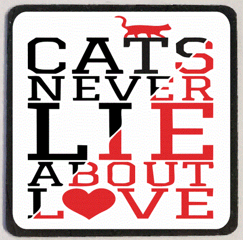 M186 Cats Never Lie Magnet