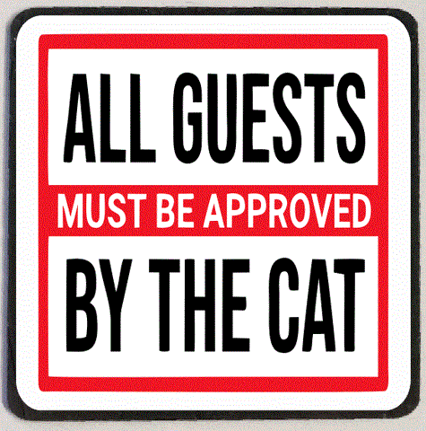 M234 Approved By The Cat Funny Refrigerator Magnet
