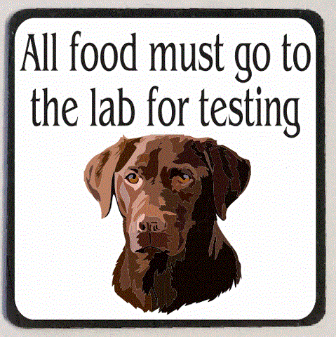 M180 Go to the Lab Brown Funny Magnet