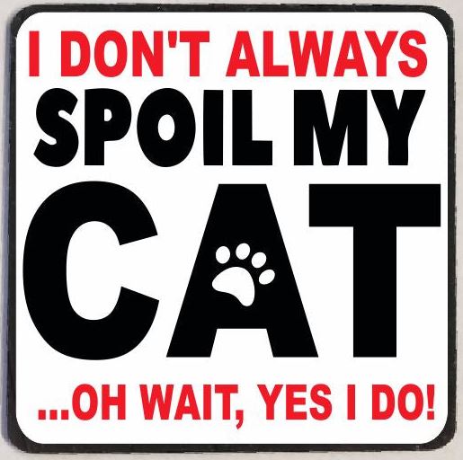 M172 Spoil My Cat Magnet