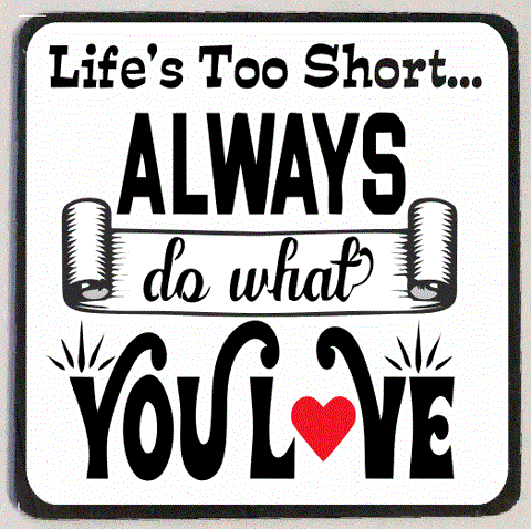M198 Life"s Too Short Refrigerator Magnet