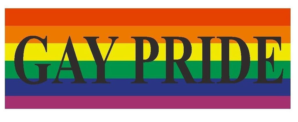 Gay Pride Gay Rights Equality Bumper Sticker or Helmet Sticker D392 - Winter Park Products