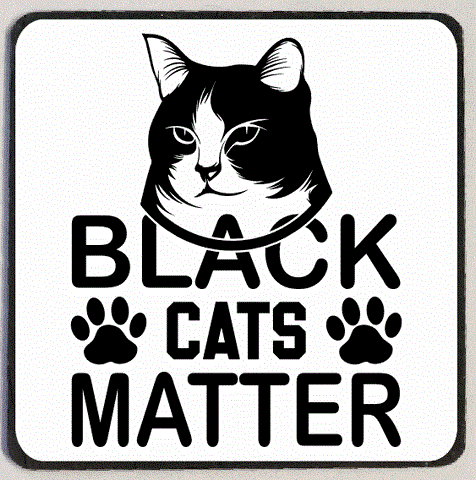 M226 Black Cats Matter Refrigerator Magnets
