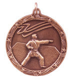 Lot of 100 Bronze Karate Medal $1.59 each With FREE Lanyard FREE SHIP M142 - Winter Park Products