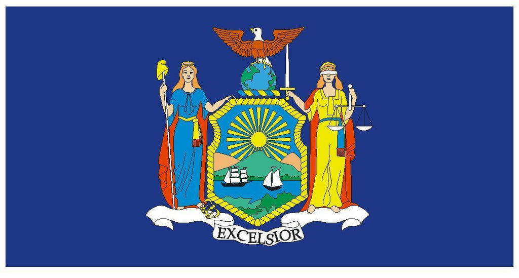NEW YORK Vinyl State Flag DECAL Sticker MADE IN THE USA F348 - Winter Park Products
