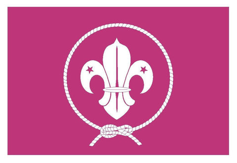 WORLD SCOUT MOVEMENT Vinyl Flag DECAL Sticker MADE IN THE USA F556 - Winter Park Products