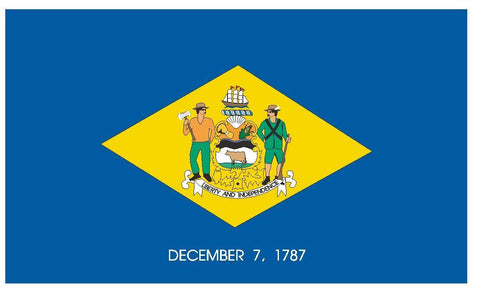 DELAWARE Vinyl State Flag DECAL Sticker MADE IN THE USA F131 - Winter Park Products