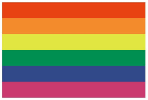 GAY PRIDE Vinyl International Flag DECAL Sticker MADE IN THE USA F184 - Winter Park Products