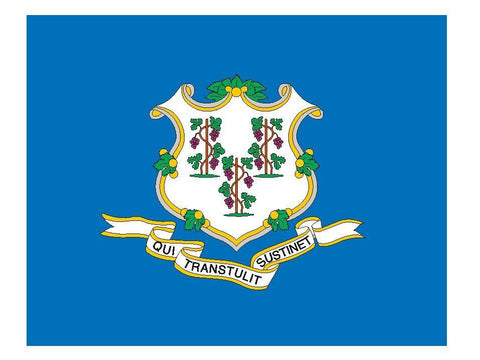 CONNECTICUT Vinyl State Flag DECAL Sticker MADE IN THE USA F115 - Winter Park Products