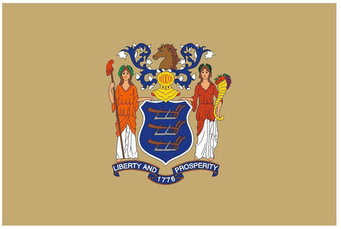 NEW JERSEY Vinyl State Flag DECAL Sticker MADE IN THE USA F345 - Winter Park Products