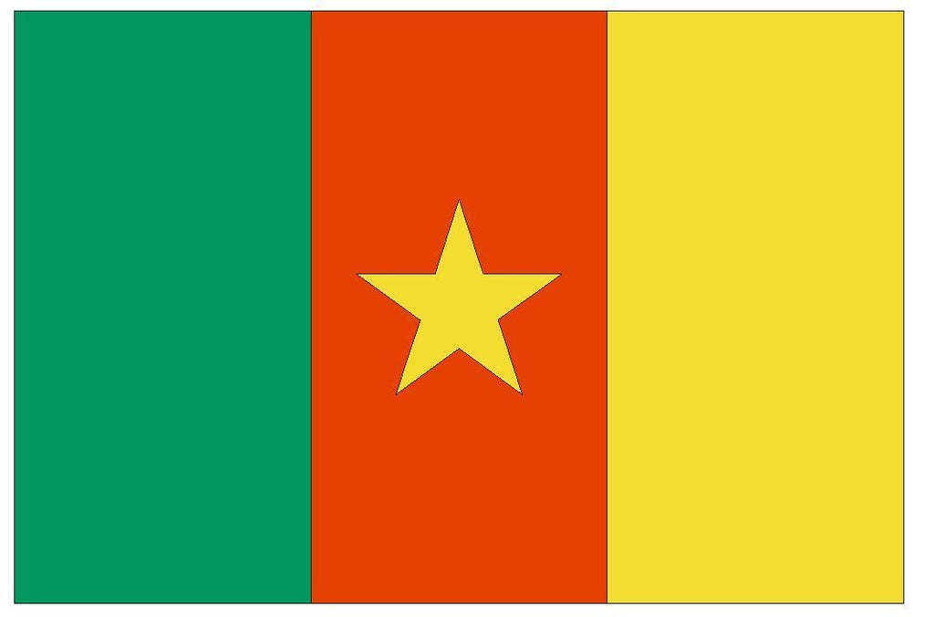 CAMEROON Flag Vinyl International Flag DECAL Sticker MADE IN USA F82 - Winter Park Products