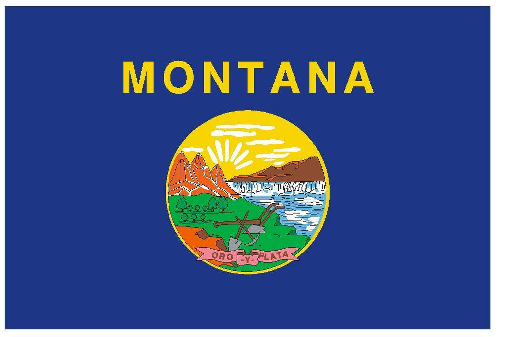 MONTANA Vinyl State Flag DECAL Sticker MADE IN THE USA F317 - Winter Park Products