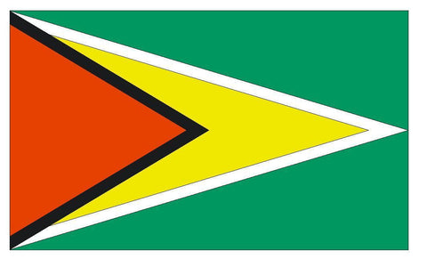 GUYANA Vinyl International Flag DECAL Sticker MADE IN THE USA F205 - Winter Park Products