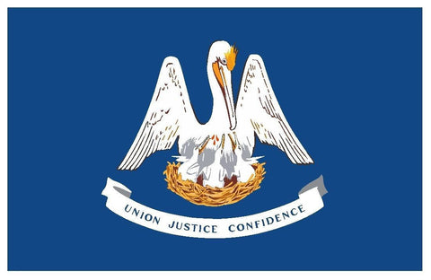 LOUISIANA 2013 Vinyl State Flag DECAL Sticker MADE IN THE USA F607 - Winter Park Products