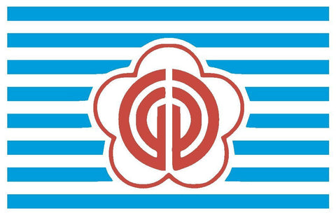 TAIPEI Vinyl International Flag DECAL Sticker MADE IN THE USA F489 - Winter Park Products