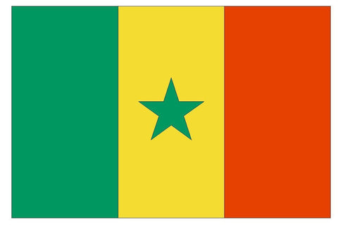 SENEGAL Vinyl International Flag DECAL Sticker MADE IN THE USA F450 - Winter Park Products