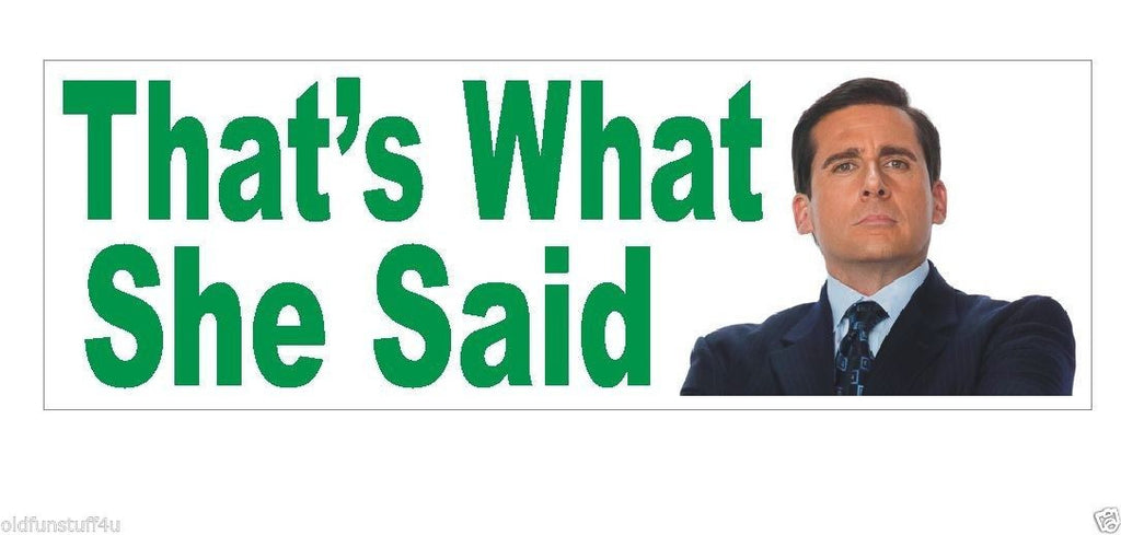 Thats What She Said Michael Scott The Office Dunder Mifflin Bumper Sticker or Helmet Sticker D439 - Winter Park Products