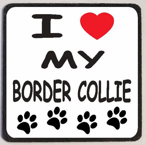 M115 Border Collie Magnet