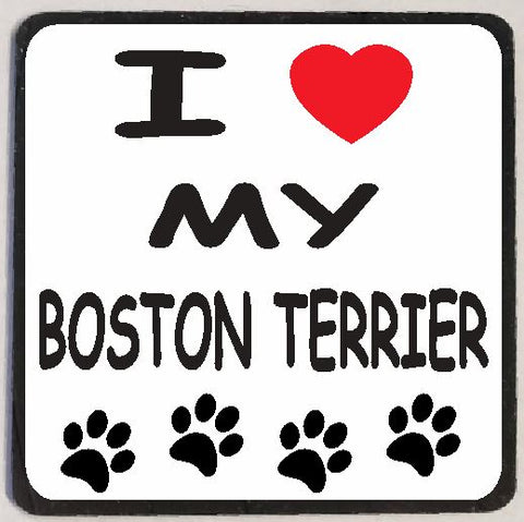 M110 Boston Terrier Magnet