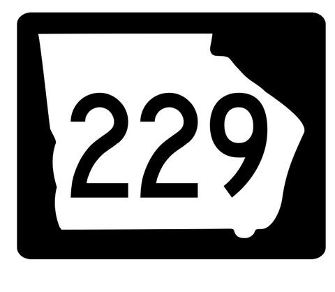 Georgia State Route 229 Sticker R3895 Highway Sign
